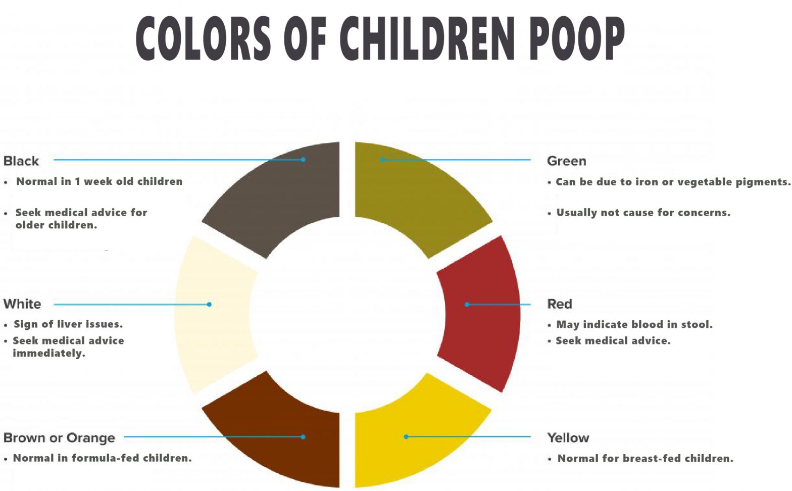 Color Wheel Poop 1568x972 