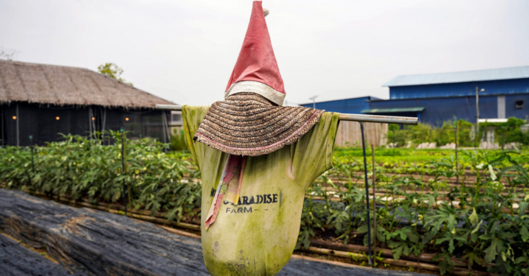 Bug's Paradise Farm: A Natural Haven in Puchong!