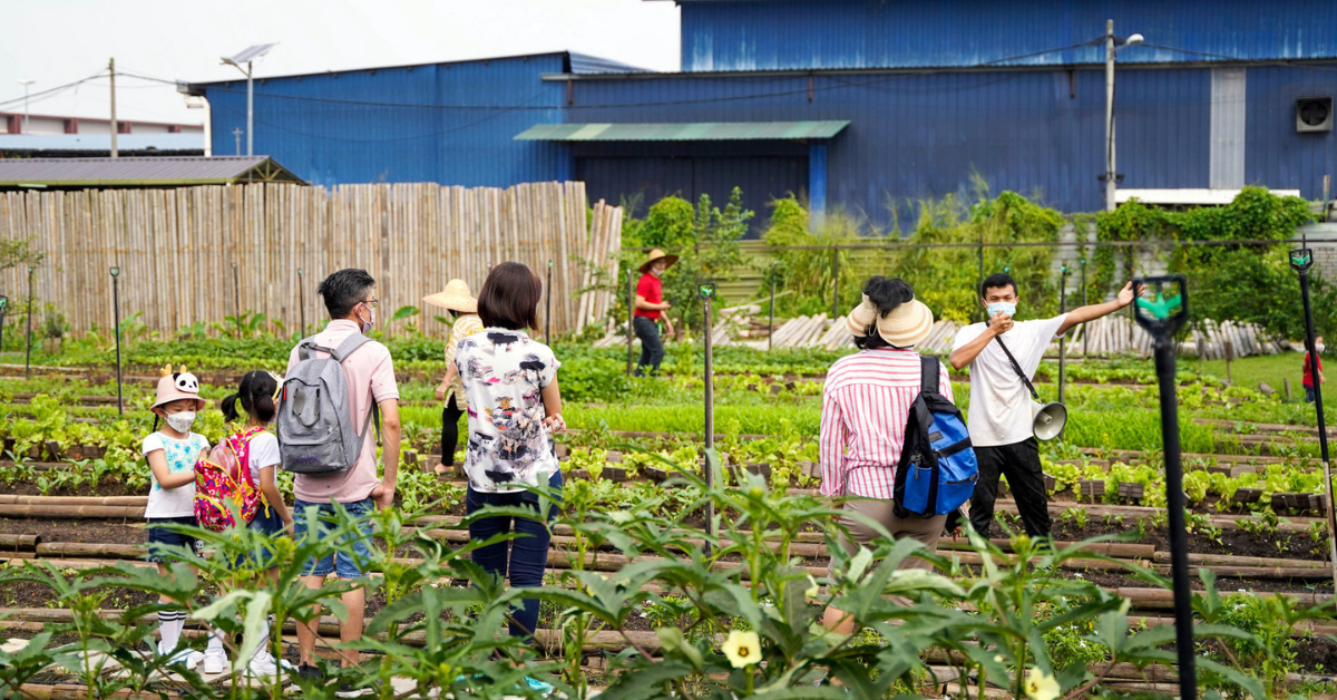 Discover the Wonders of Bug's Paradise Farm: A Natural Haven in Puchong ...