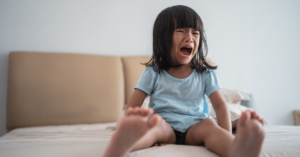  Toddler Tantrum 